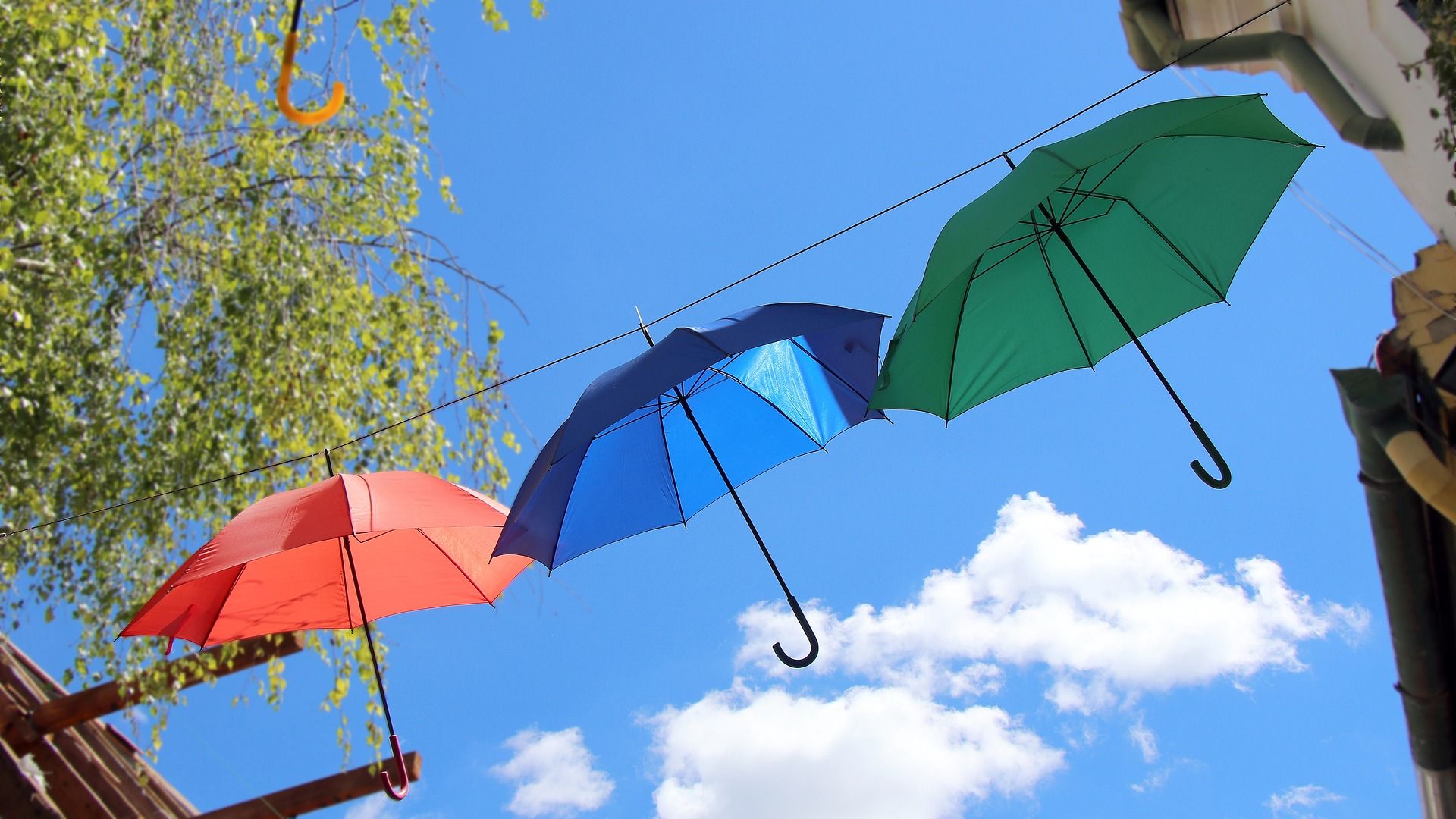 Поющие зонтики. Зонт. Разноцветный зонт. Зонт на природе. Зонт от дождя.